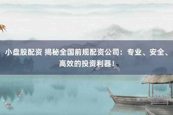 小盘股配资 揭秘全国前规配资公司：专业、安全、高效的投资利器！