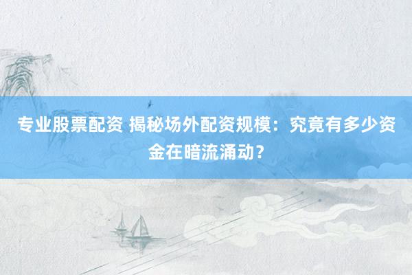 专业股票配资 揭秘场外配资规模：究竟有多少资金在暗流涌动？