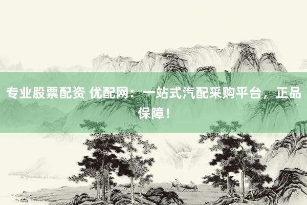 专业股票配资 优配网：一站式汽配采购平台，正品保障！