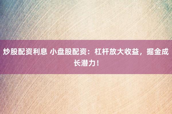 炒股配资利息 小盘股配资：杠杆放大收益，掘金成长潜力！
