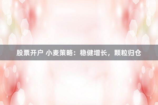 股票开户 小麦策略：稳健增长，颗粒归仓