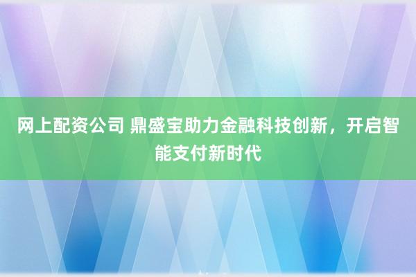 网上配资公司 鼎盛宝助力金融科技创新,开启智能支付新时代