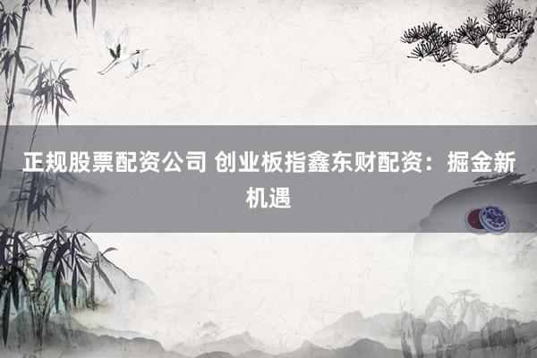 正规股票配资公司 创业板指鑫东财配资:掘金新机遇