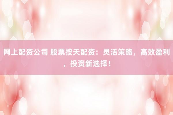 网上配资公司 股票按天配资:灵活策略,高效盈利,投资新选择!