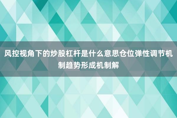 风控视角下的炒股杠杆是什么意思仓位弹性调节机制趋势形成机制解