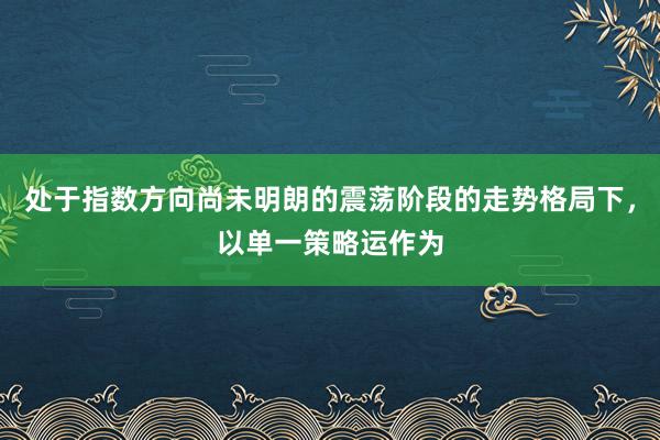 处于指数方向尚未明朗的震荡阶段的走势格局下，以单一策略运作为