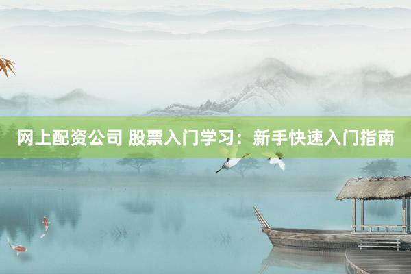 网上配资公司 股票入门学习：新手快速入门指南
