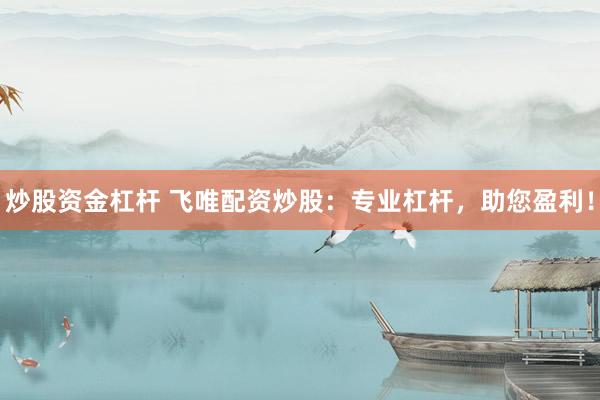 炒股资金杠杆 飞唯配资炒股：专业杠杆，助您盈利！