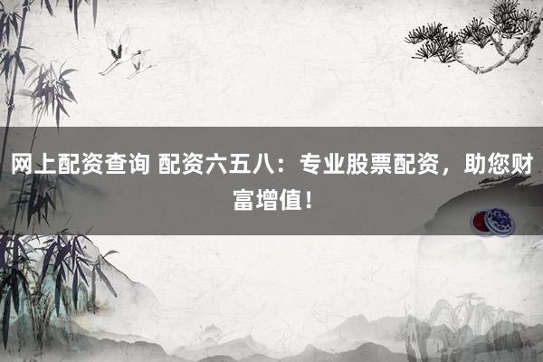 网上配资查询 配资六五八：专业股票配资，助您财富增值！