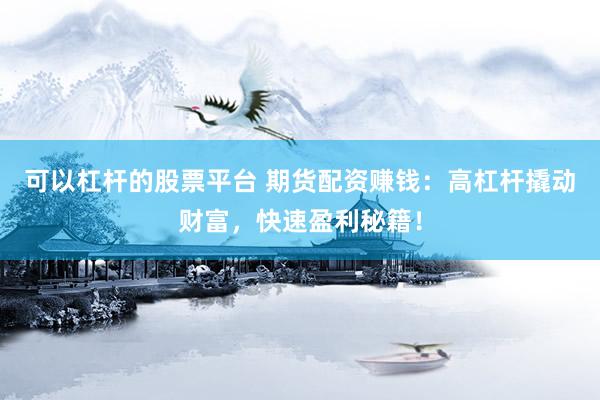 可以杠杆的股票平台 期货配资赚钱:高杠杆撬动财富,快速盈利秘籍!