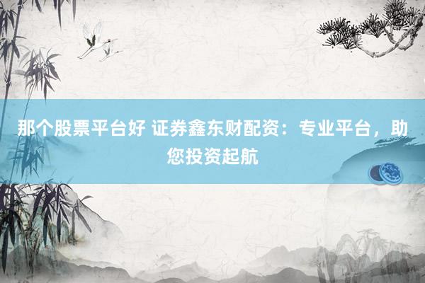 那个股票平台好 证券鑫东财配资：专业平台，助您投资起航