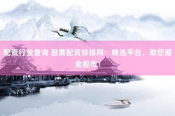 配资行业查询 股票配资排排网：精选平台，助您掘金股市！