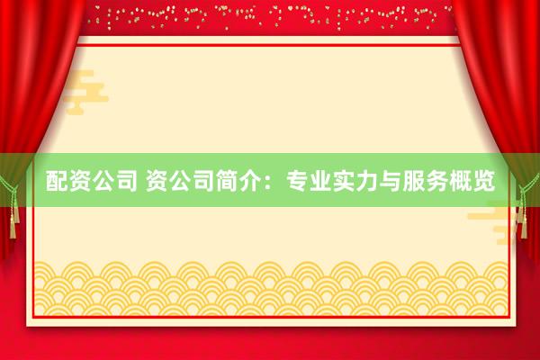 配资公司 资公司简介:专业实力与服务概览